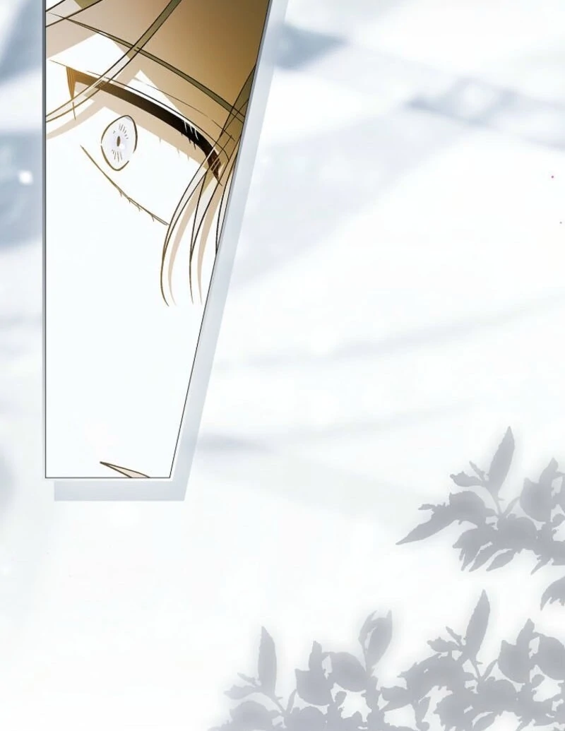 ch 154 11