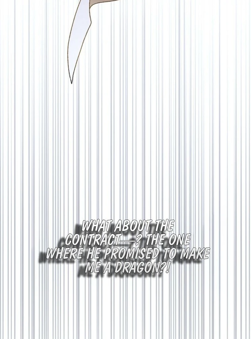 ch 154 137