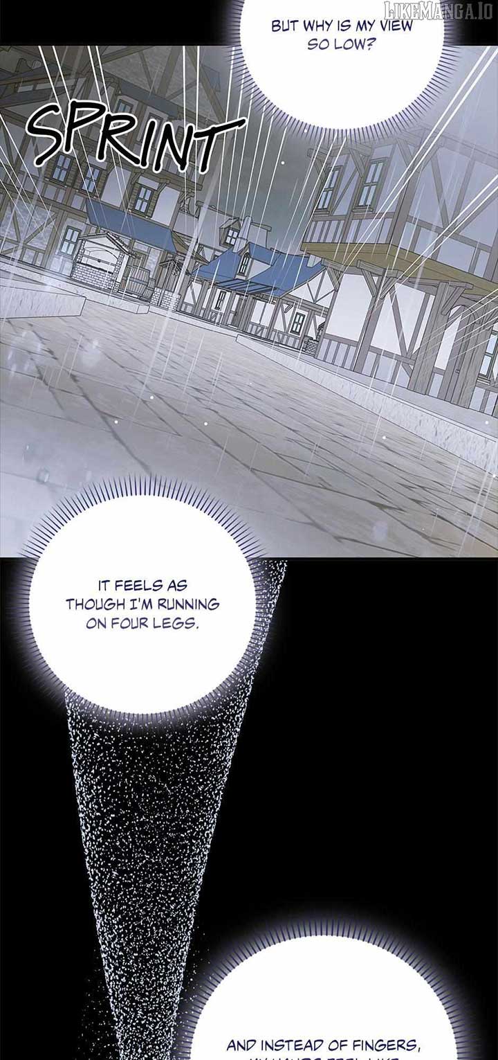 71