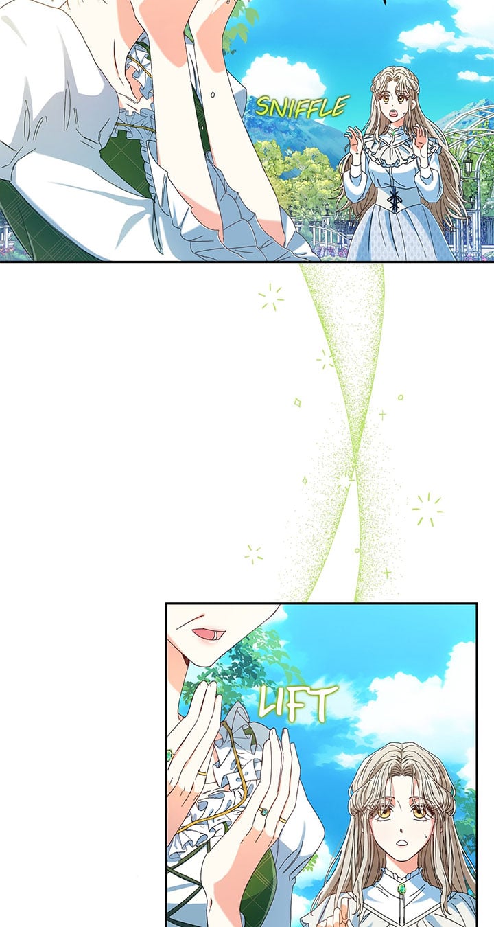 The Esteemed Lady of the Tea Garden Chapter 1 379 021