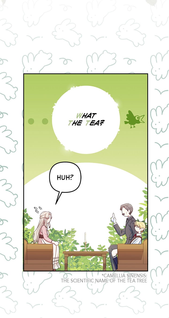 The Esteemed Lady of the Tea Garden Chapter 2 291 20