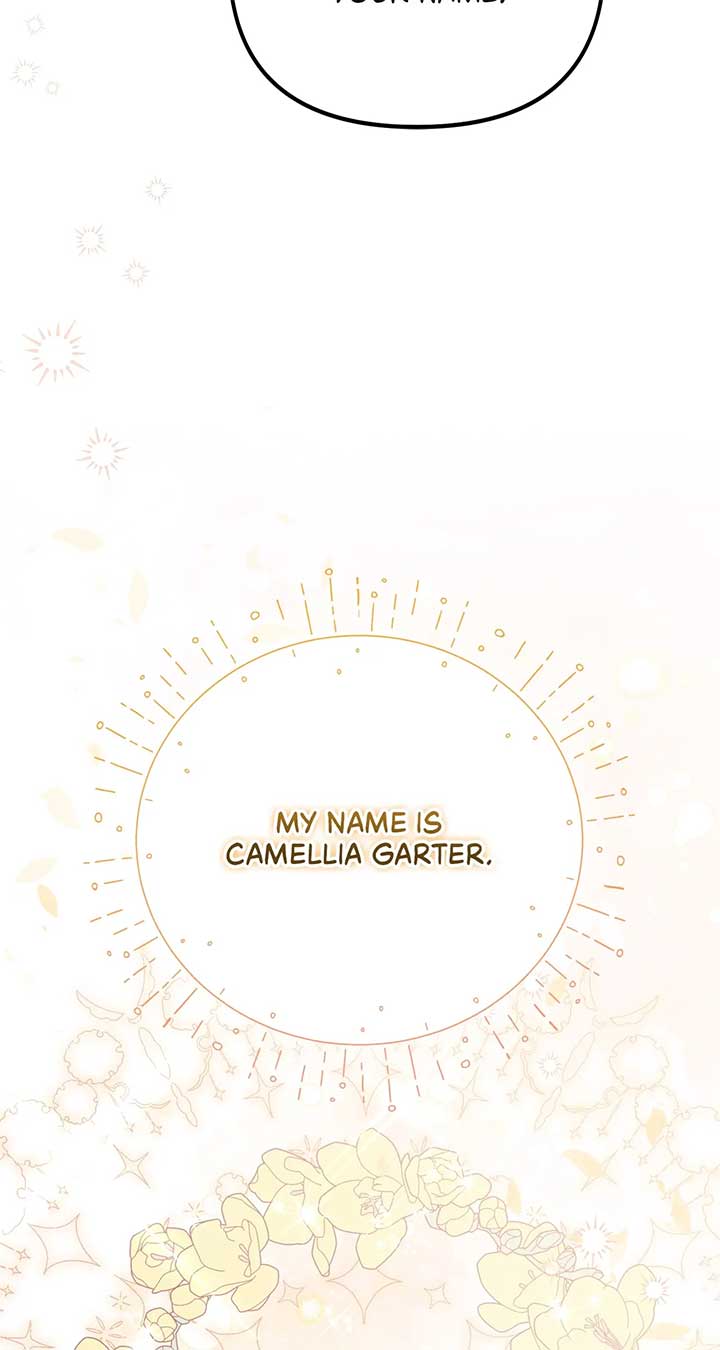 The Esteemed Lady of the Tea Garden Chapter 29 385 019