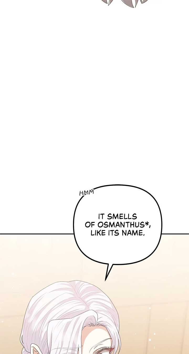 The Esteemed Lady of the Tea Garden Chapter 29 406 040