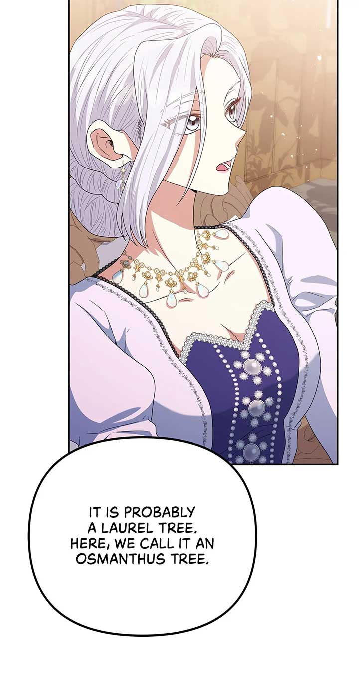 The Esteemed Lady of the Tea Garden Chapter 29 433 067