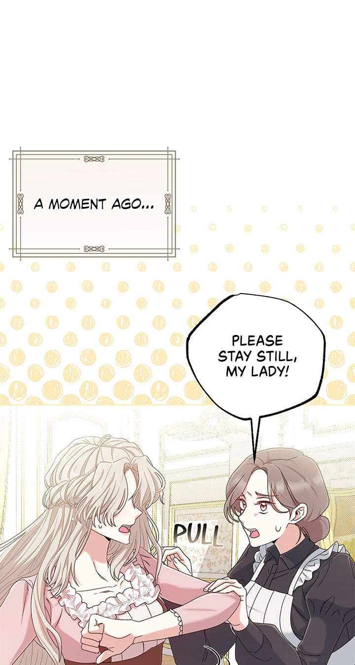 The Esteemed Lady of the Tea Garden Chapter 3 294 08
