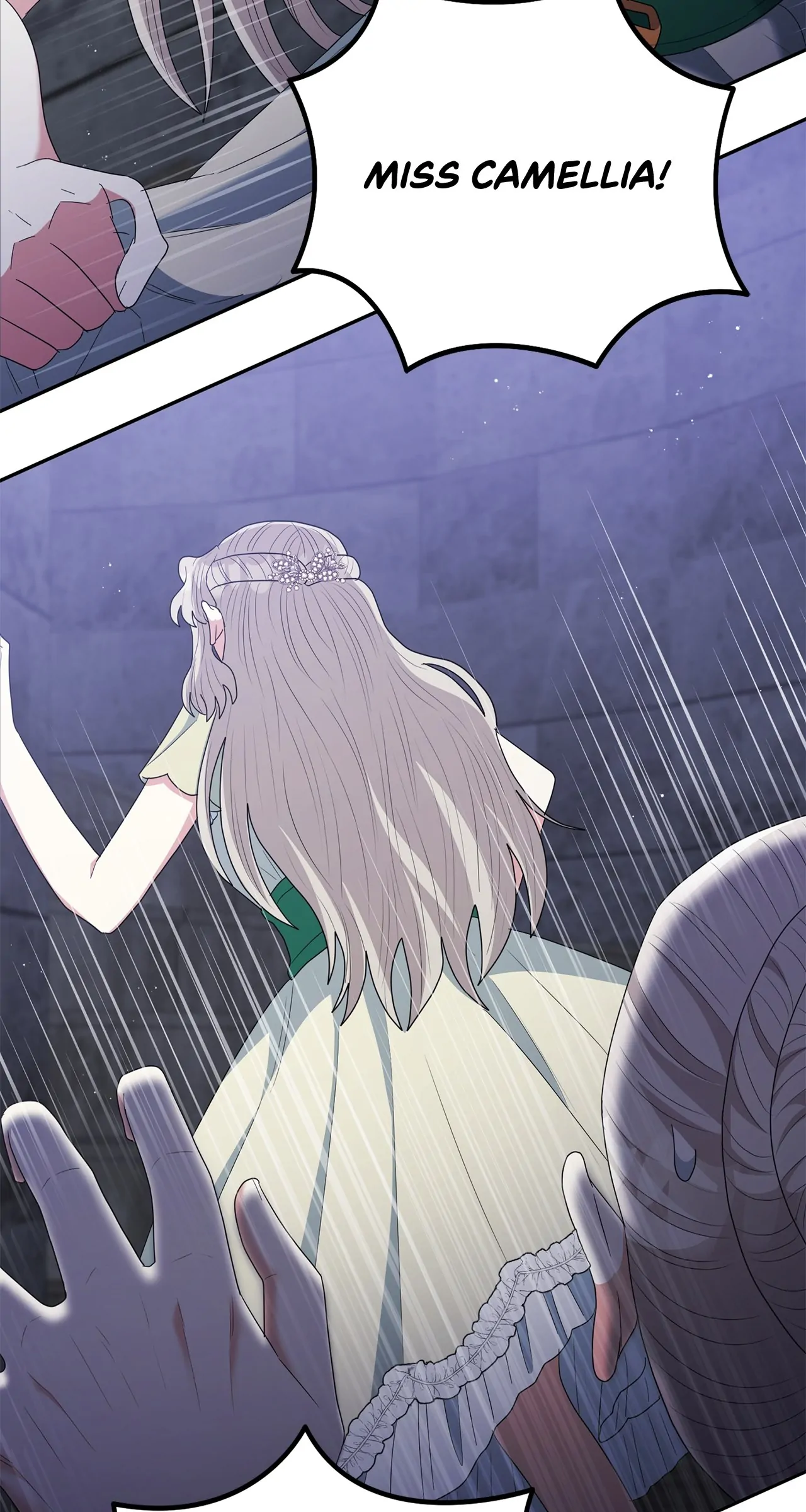 The Esteemed Lady of the Tea Garden Chapter 48 377 061