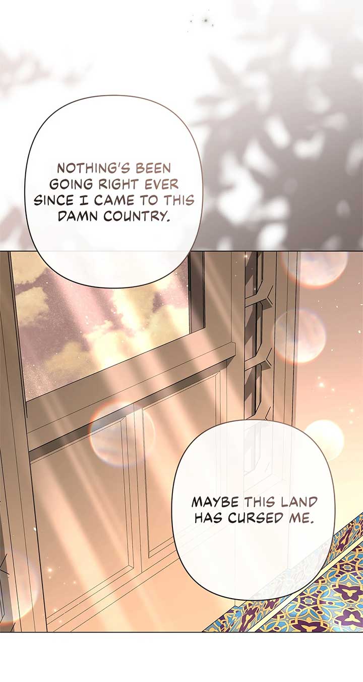 53