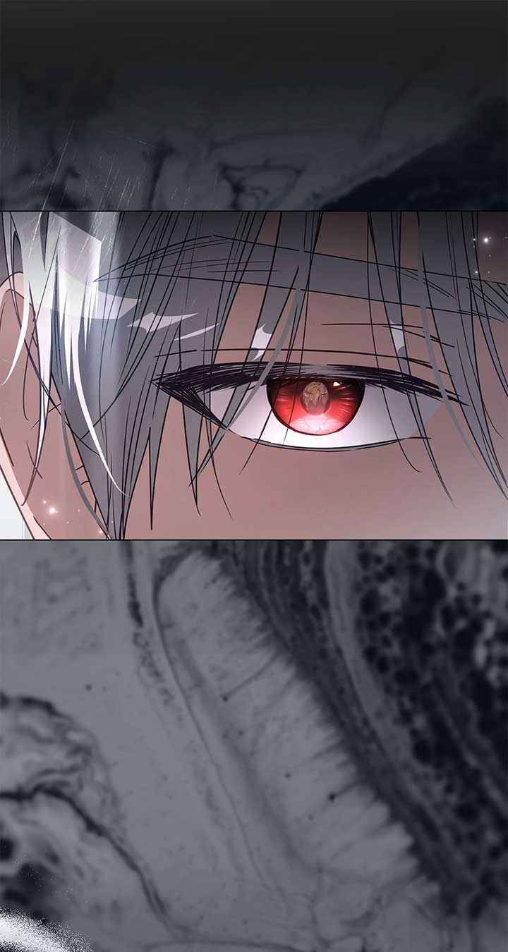 ch 64 8