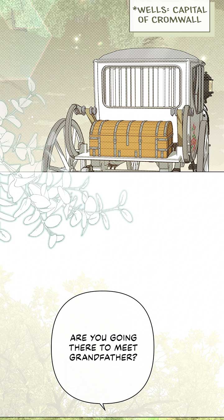 ch 71 19