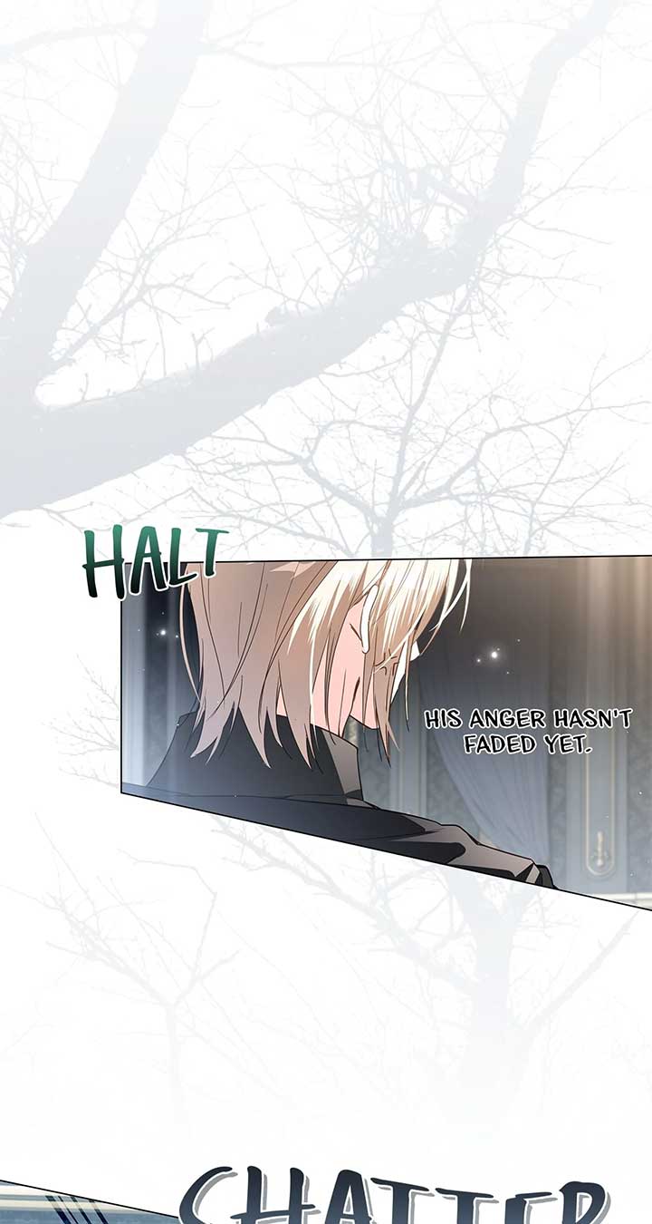 ch 74 19