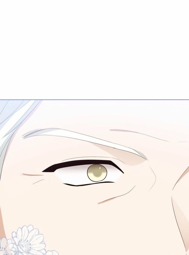 Baby Princess Through the Status Window Chapter 144 479 028