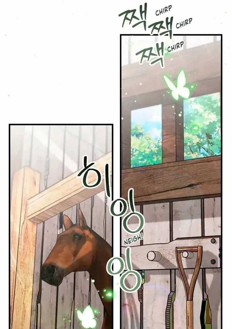 b9deb554e8f2