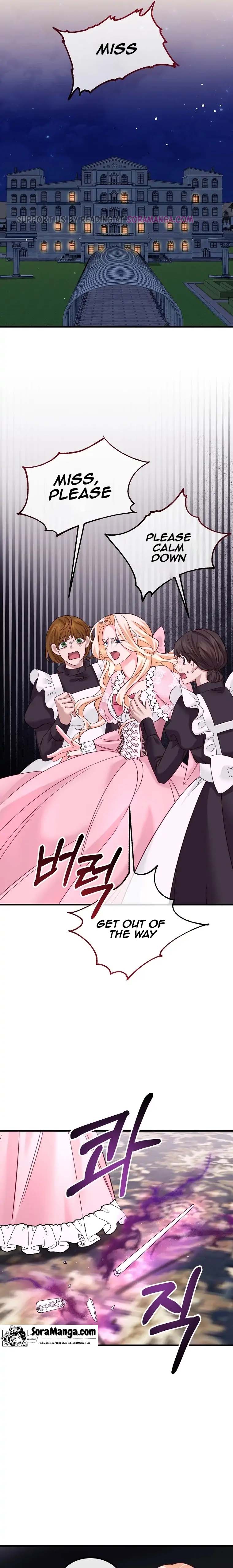 Twin Sister’s Strike Declaration Chapter 11 80 12
