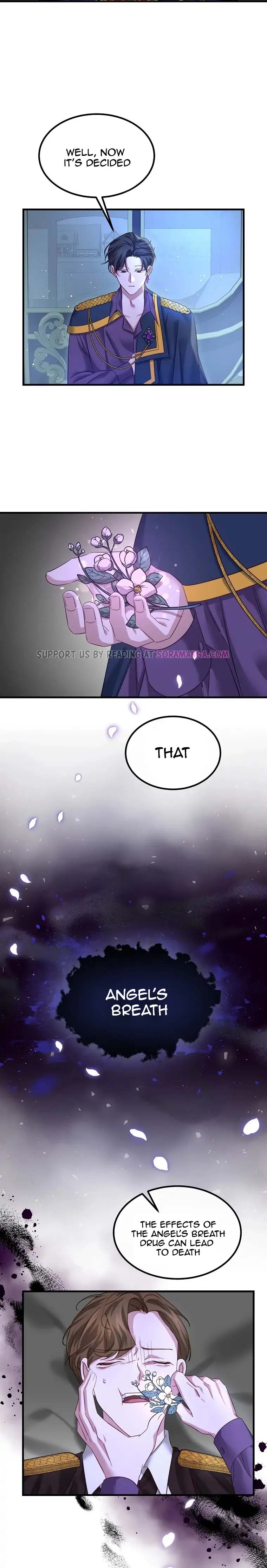 Twin Sister’s Strike Declaration Chapter 11 74 6
