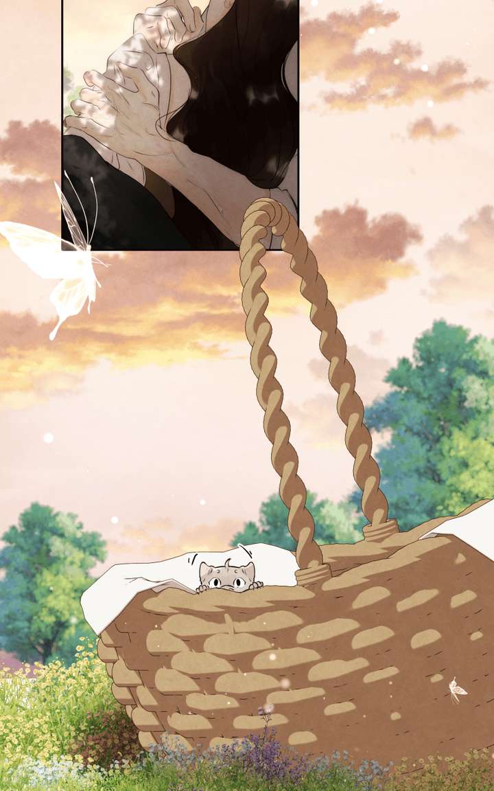 ch 86 44