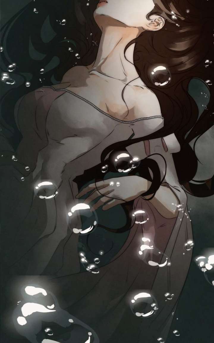ch 88 21