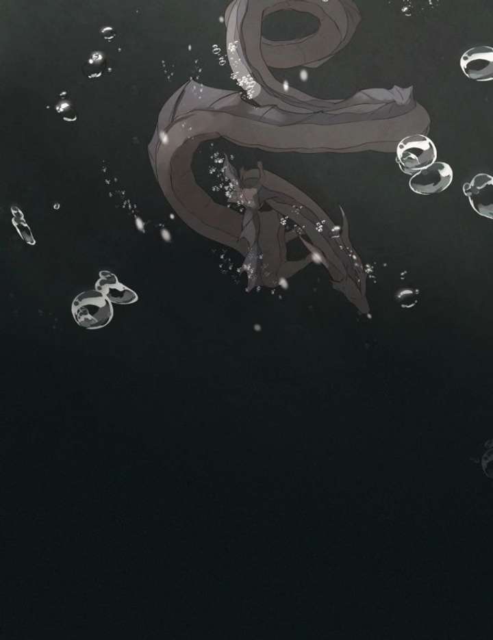 ch 88 27