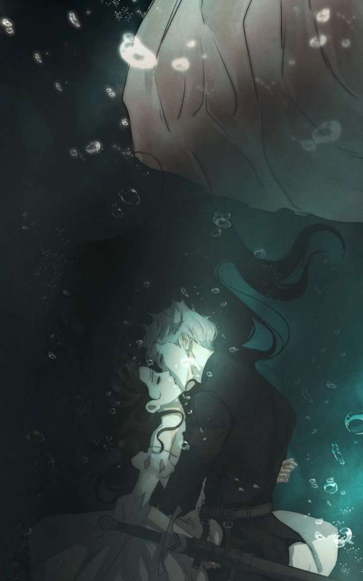 ch 88 41