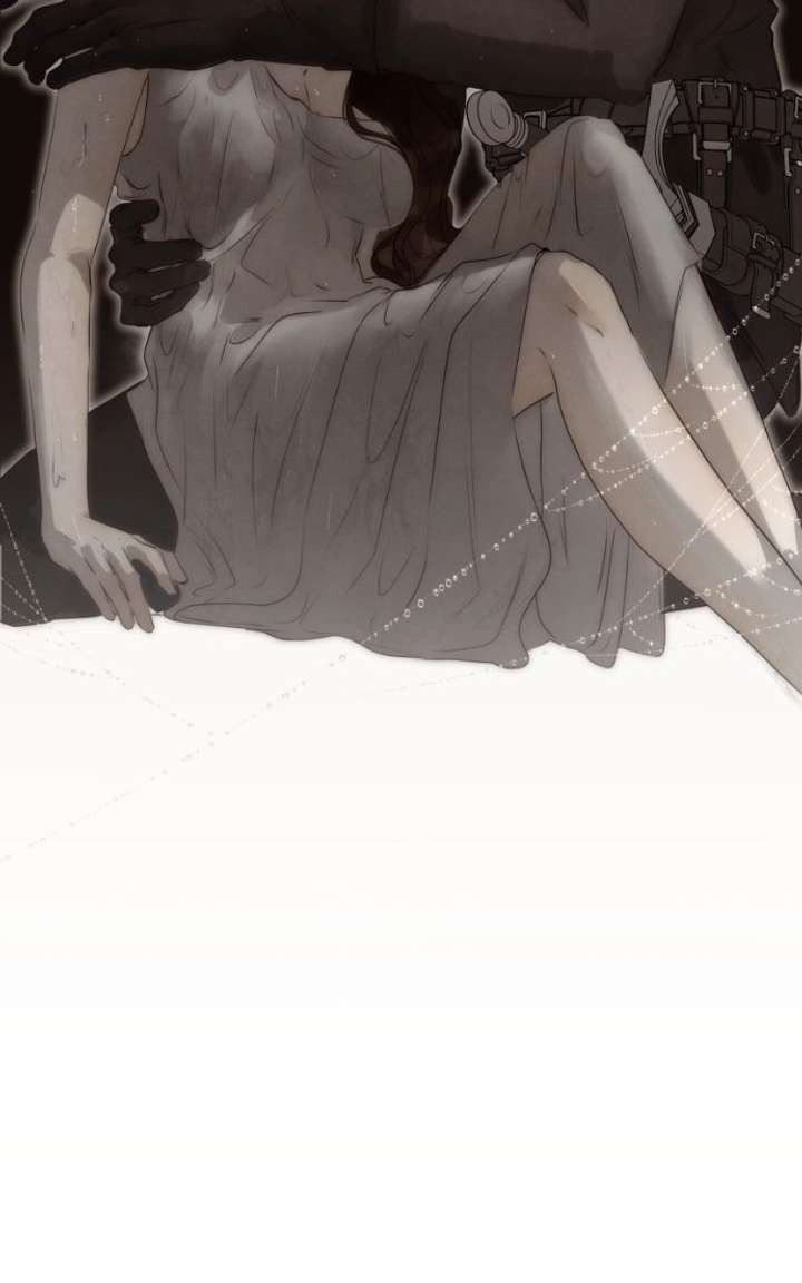 ch 88 65