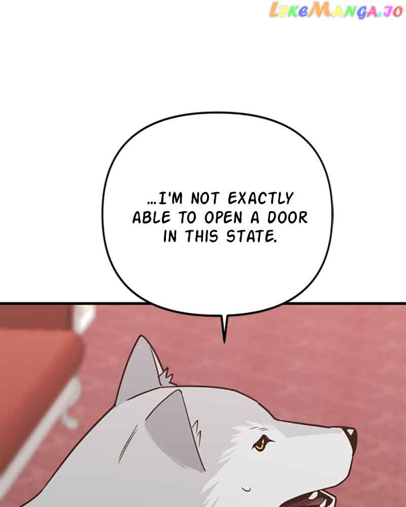 116