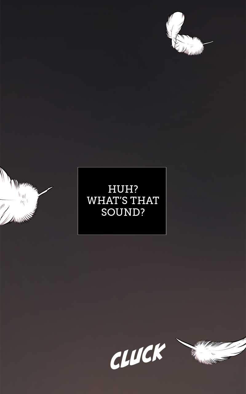 65