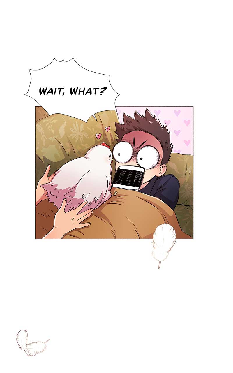71