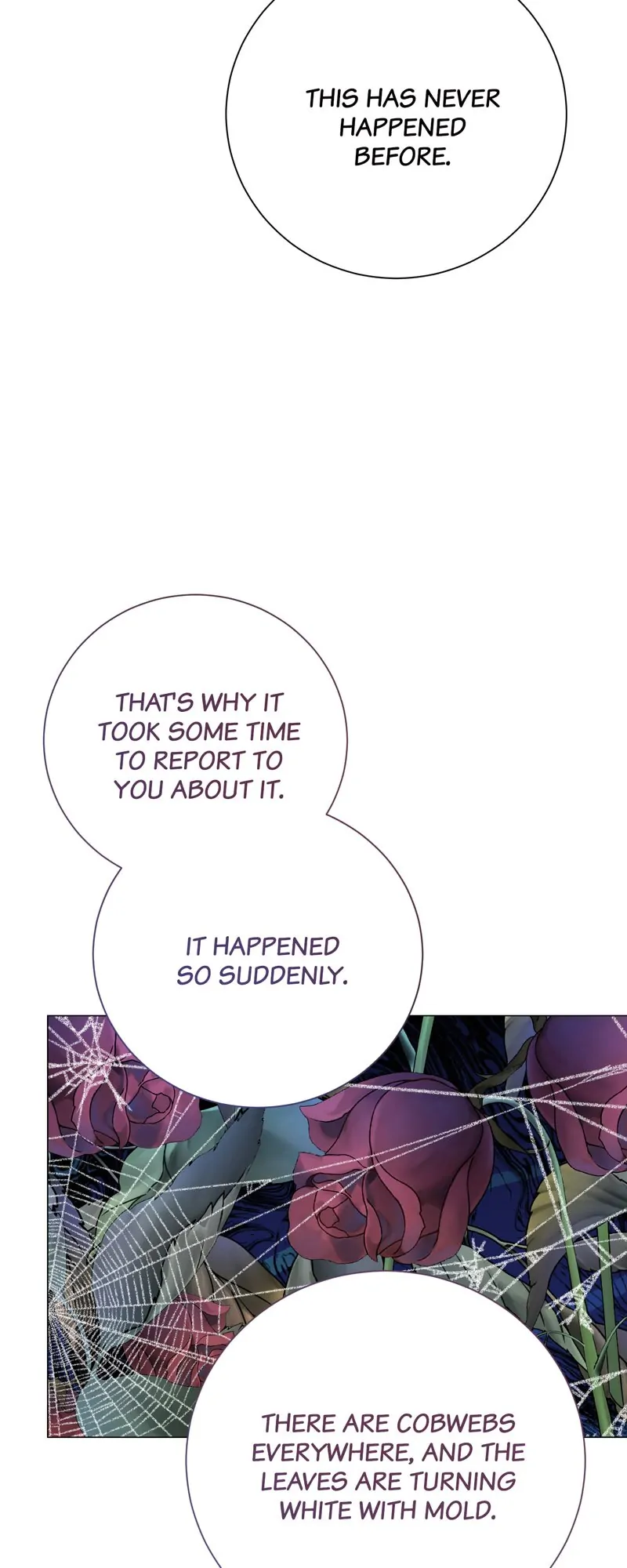 Until the Real One Shows Up Chapter 31 243 33