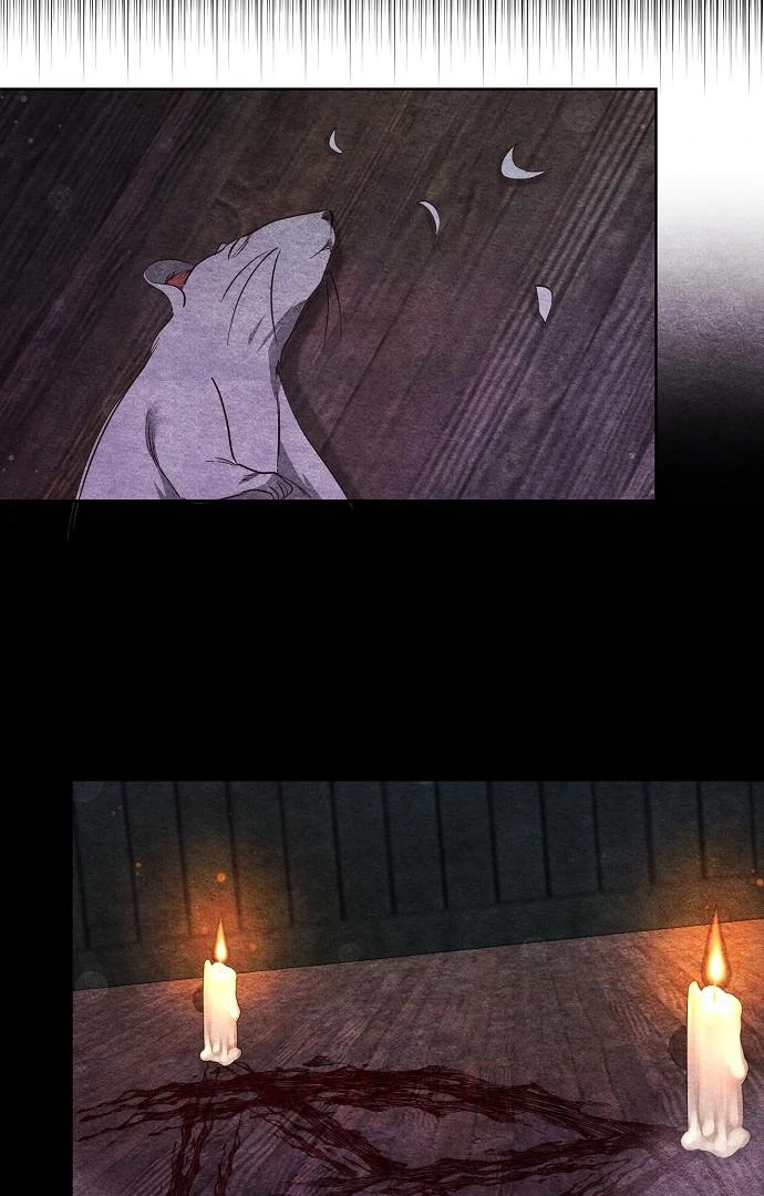 Until the Real One Shows Up Chapter 78 408 080