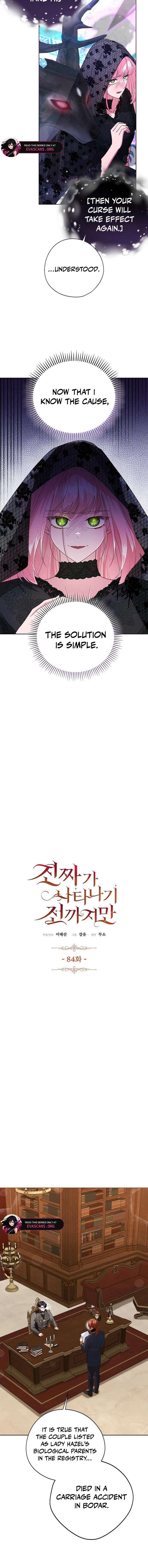 Until the Real One Shows Up Chapter 84 53 ch 84 2