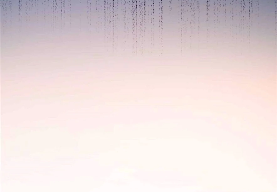 Ancestor is beautiful and elegant Chapter 11 242 58