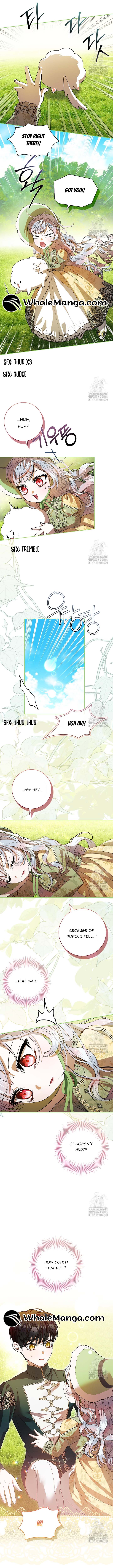 ch 76 7