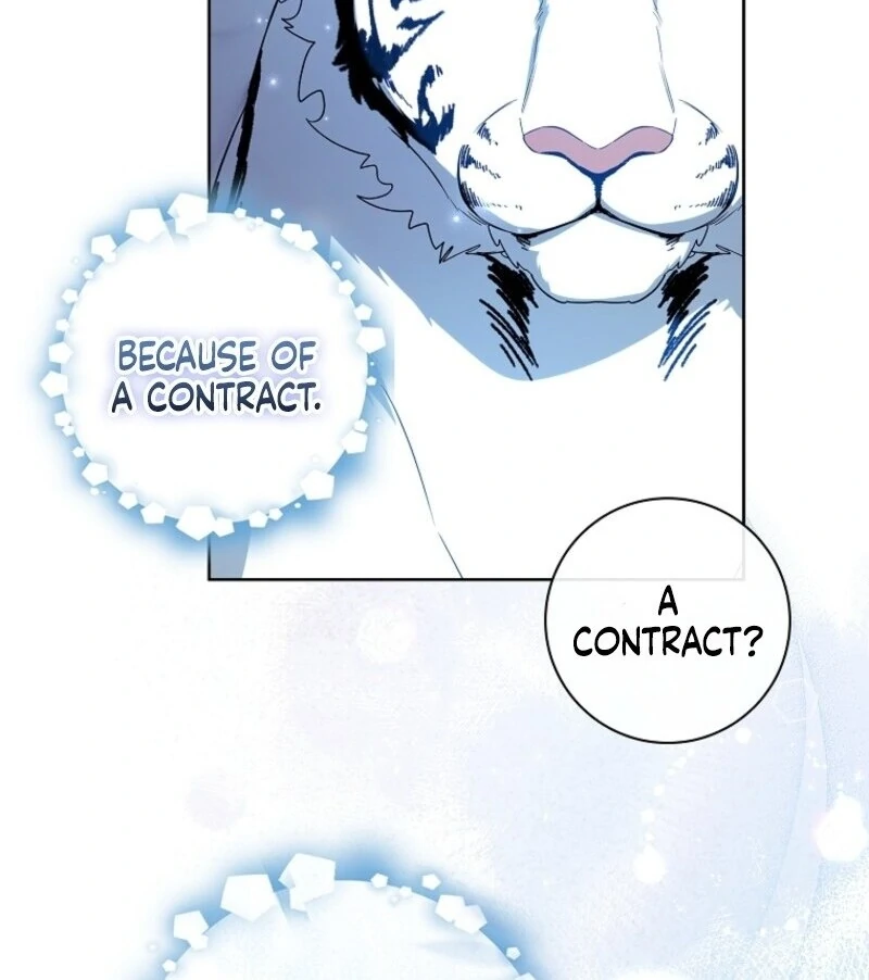 ch 84 14