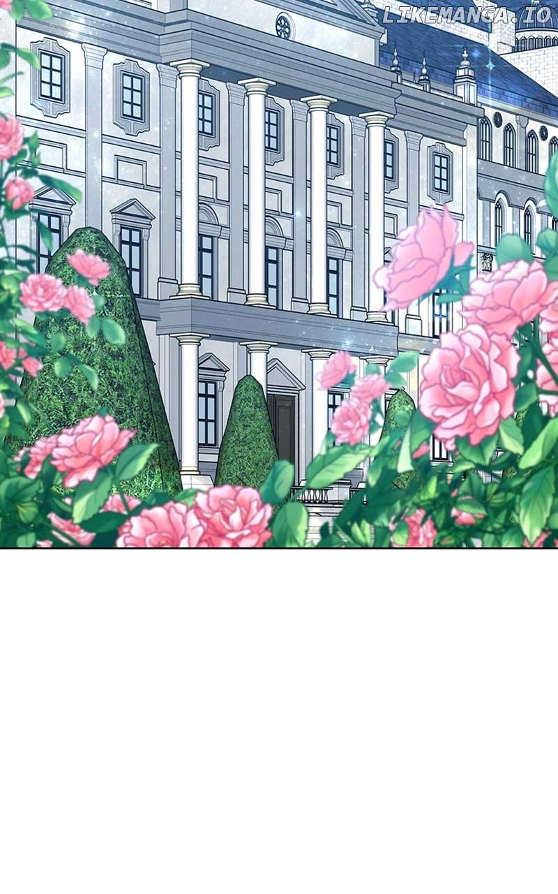 061