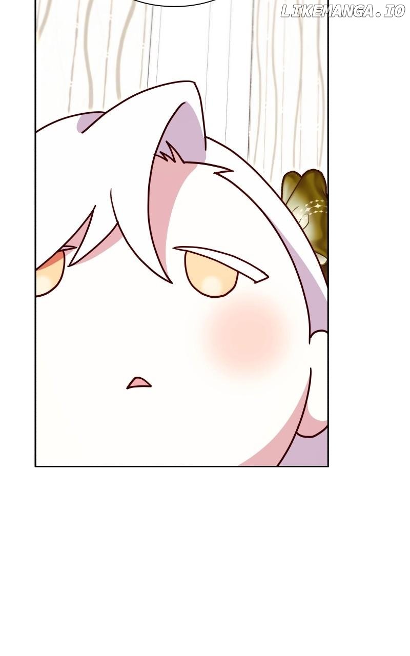 ch 65 67