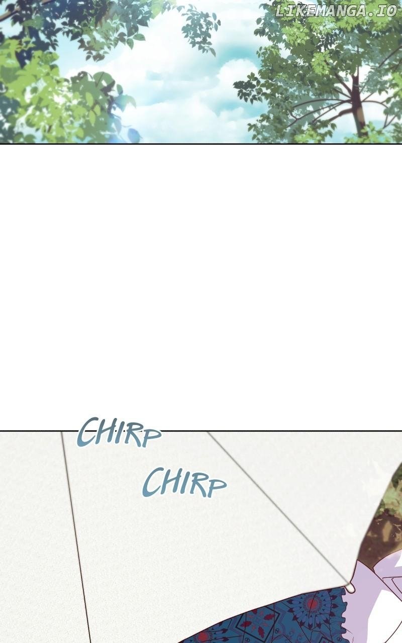 ch 65 81