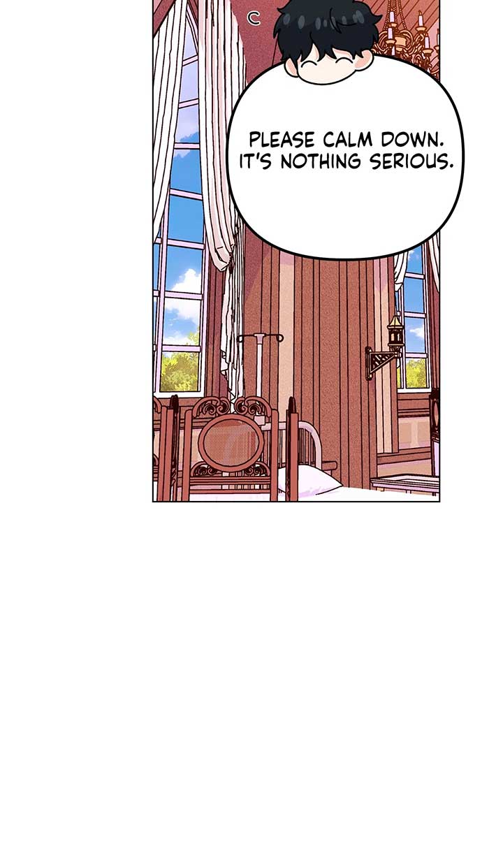 ch 74 61