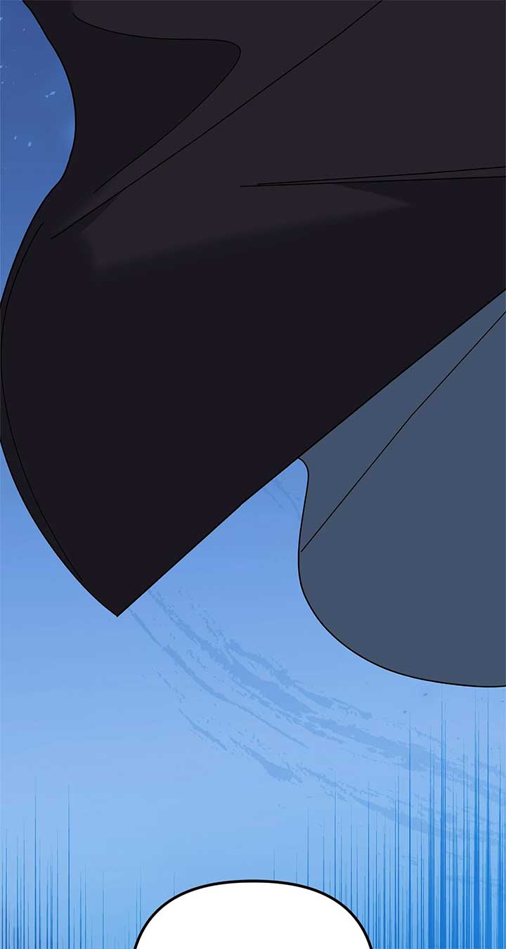 ch 81 40