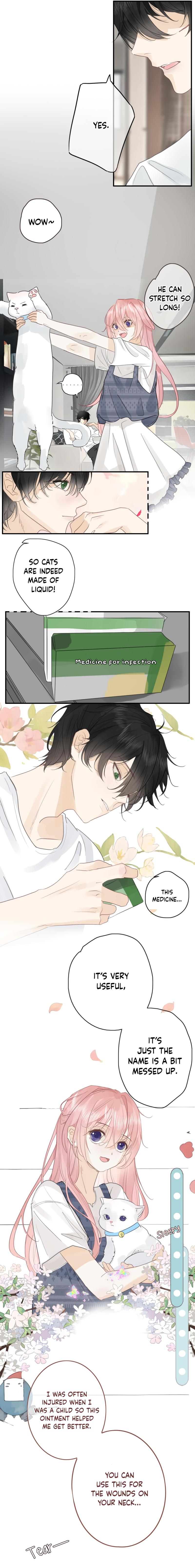 Notes on Cherry Blossom Chapter 11 37 5