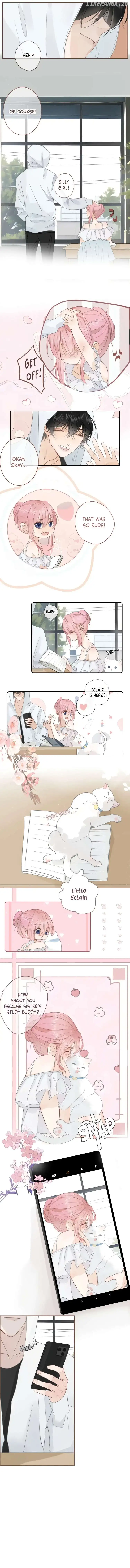 Notes on Cherry Blossom Chapter 15 19 4