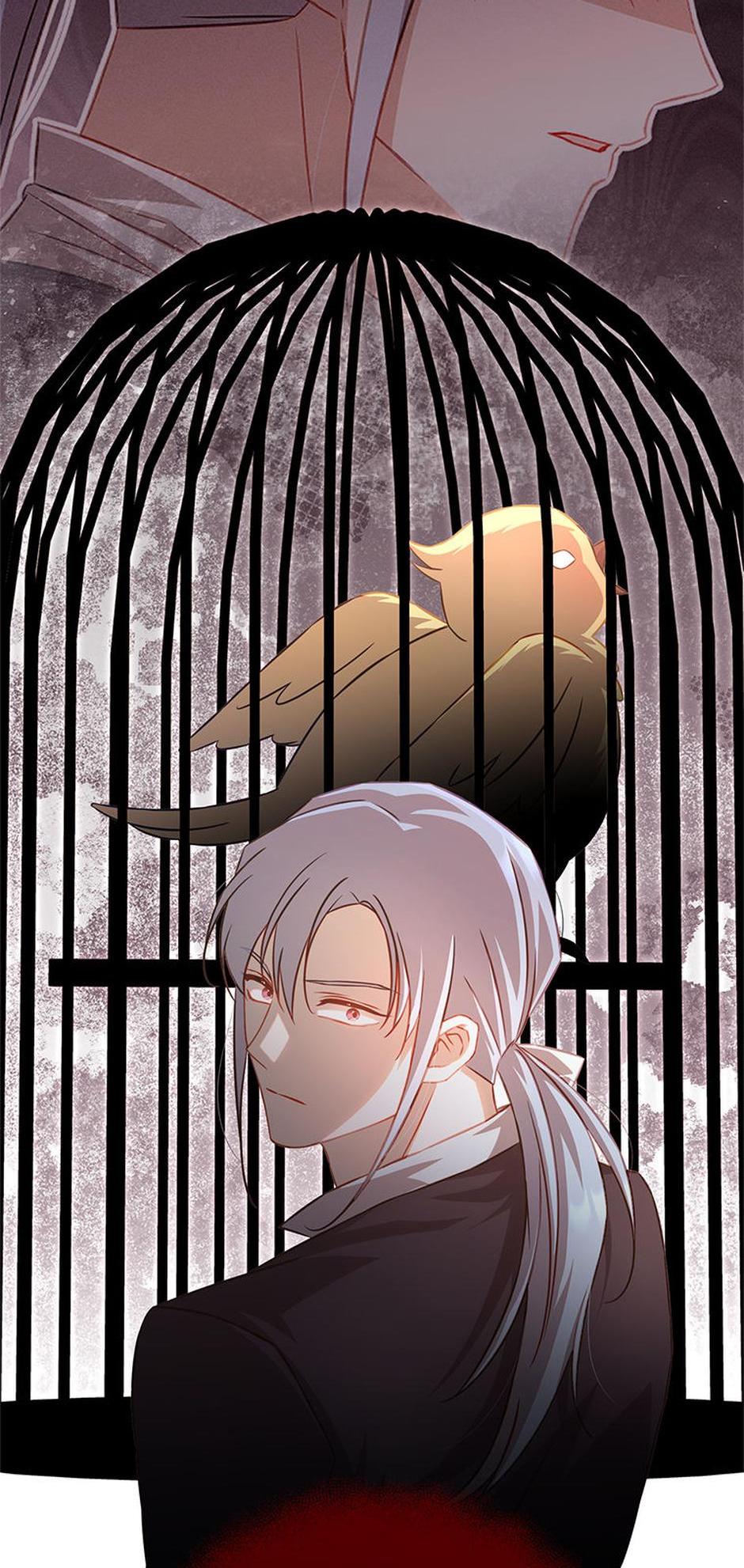 ch 54 69