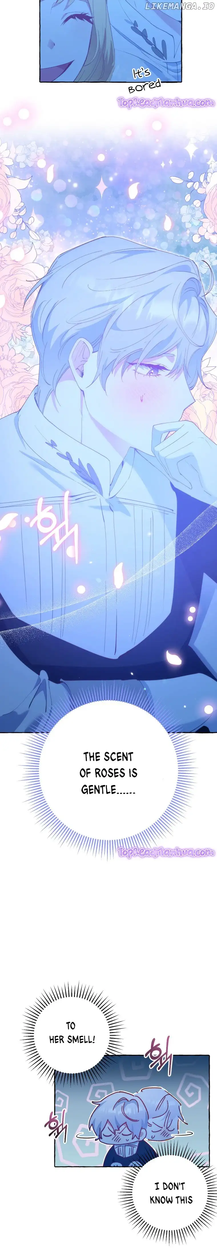 The Villainess Doesn’t Need A New Husband! Chapter 25 104 016