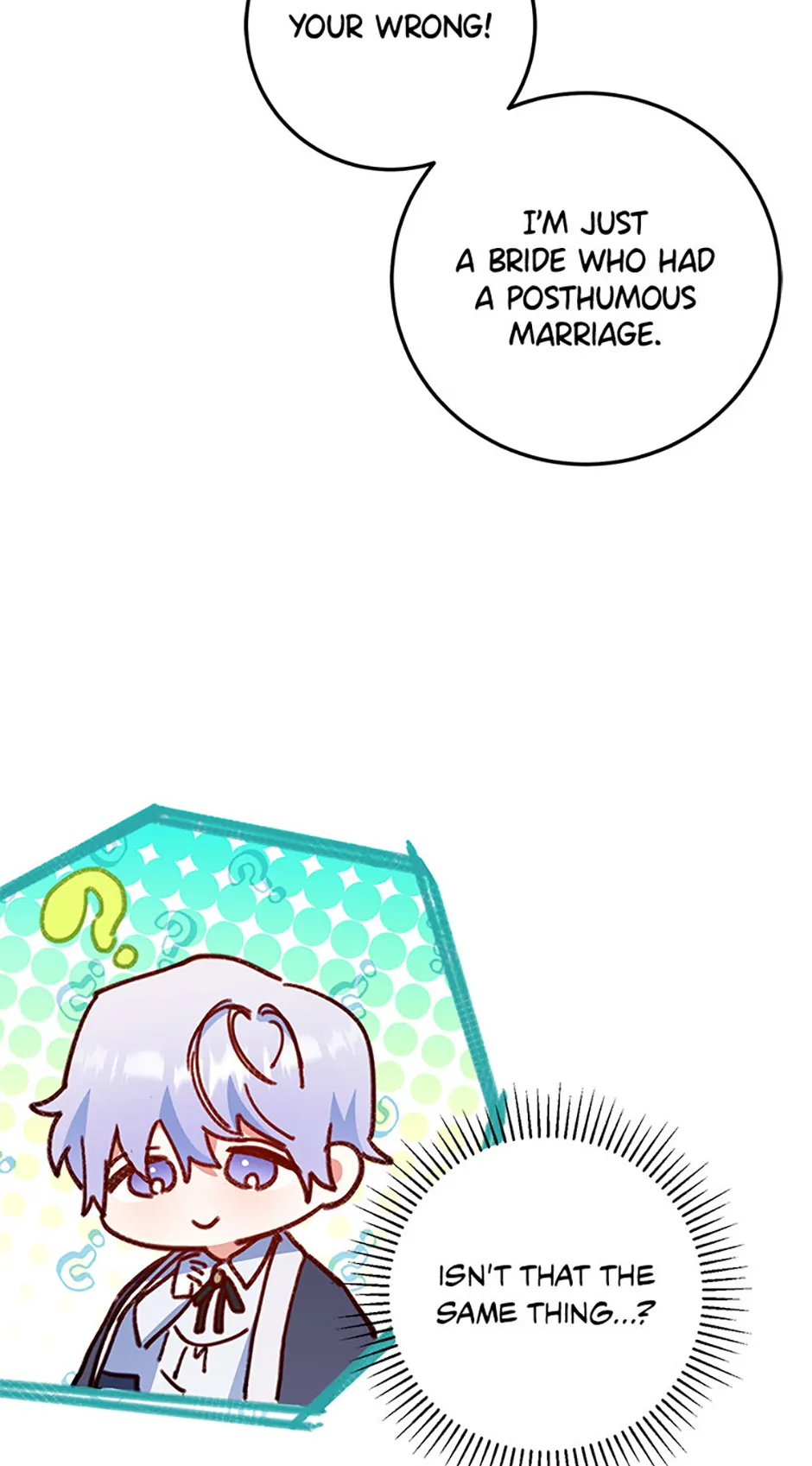 The Villainess Doesn’t Need A New Husband! Chapter 27 269 22