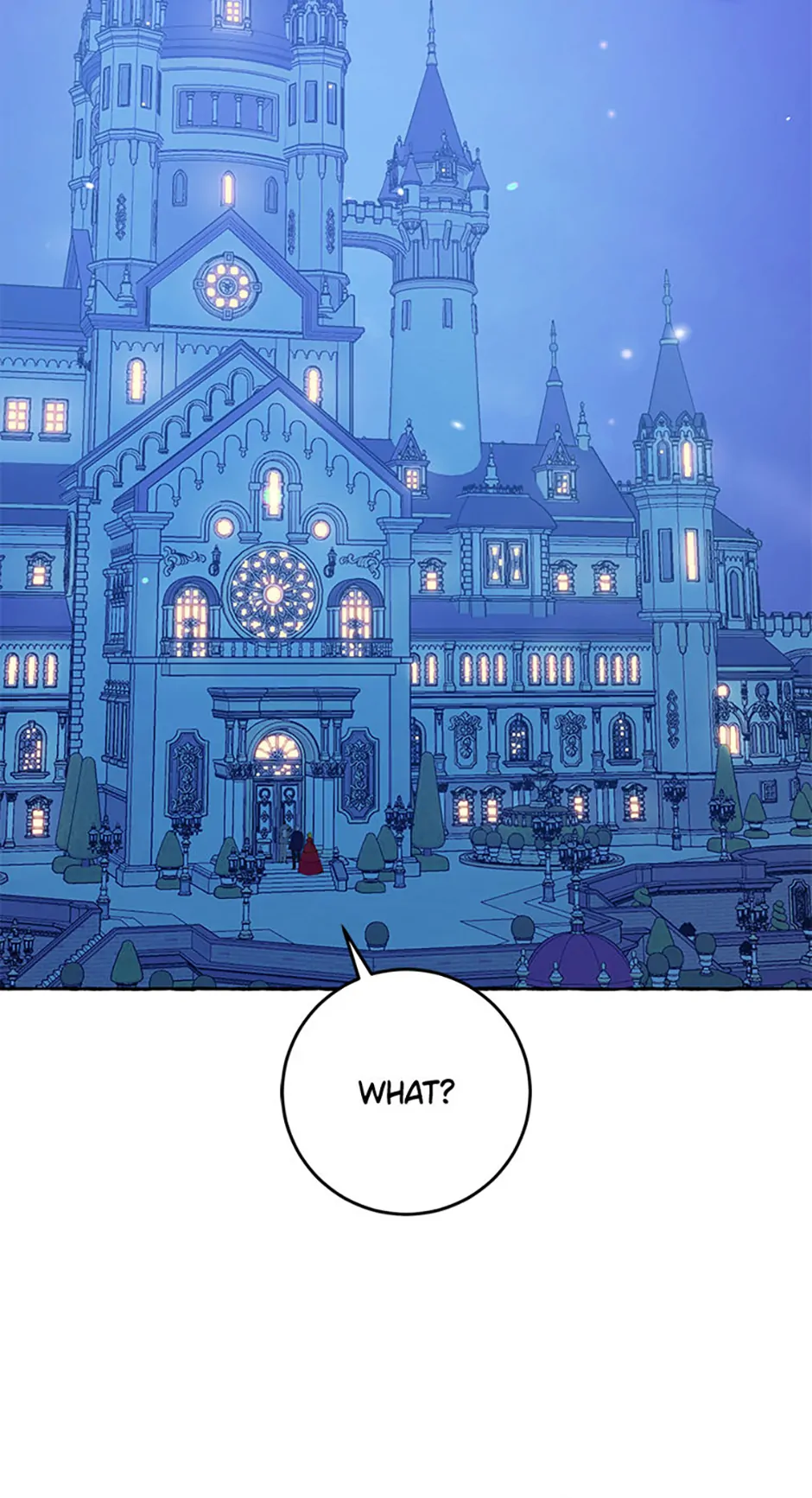 The Villainess Doesn’t Need A New Husband! Chapter 28 335 70