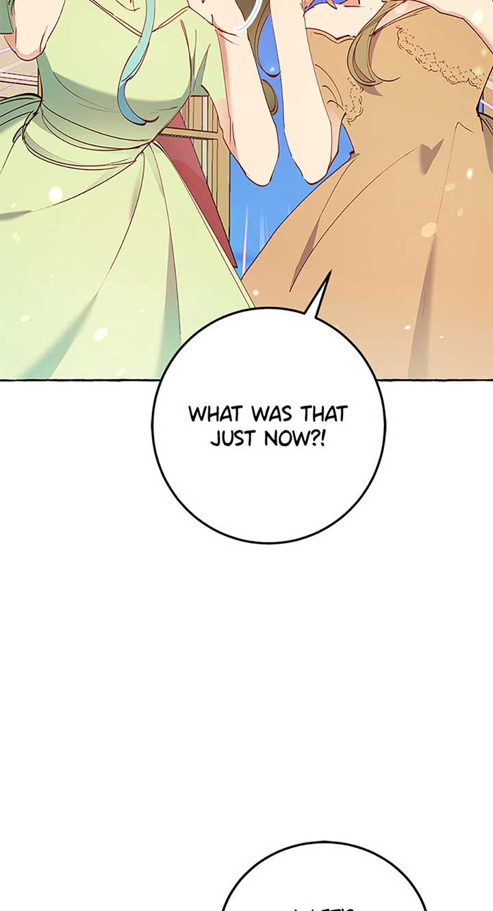 The Villainess Doesn’t Need A New Husband! Chapter 29 294 62