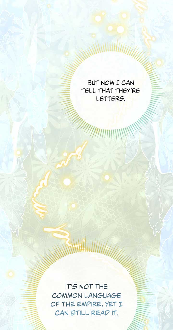 The Villainess Doesn’t Need A New Husband! Chapter 42 249 17