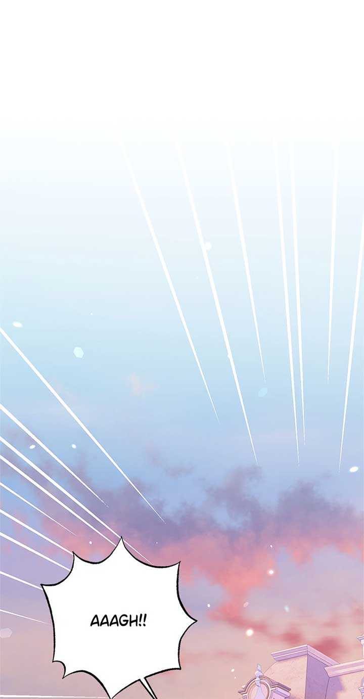 The Villainess Doesn’t Need A New Husband! Chapter 47 263 46