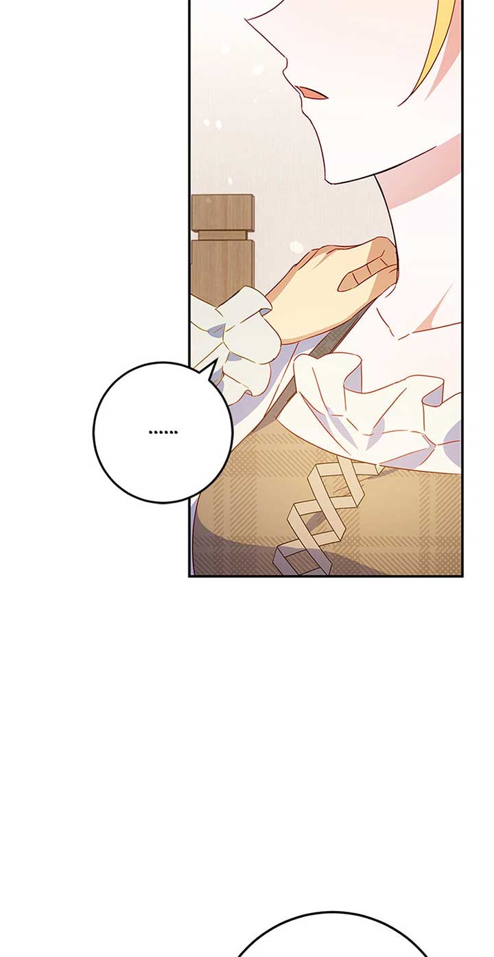 The Villainess Doesn’t Need A New Husband! Chapter 48 244 45