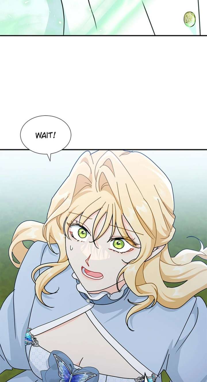 81