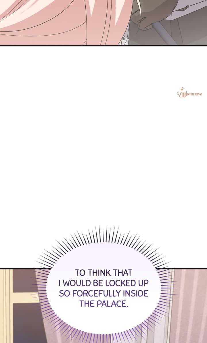 ch 79 81
