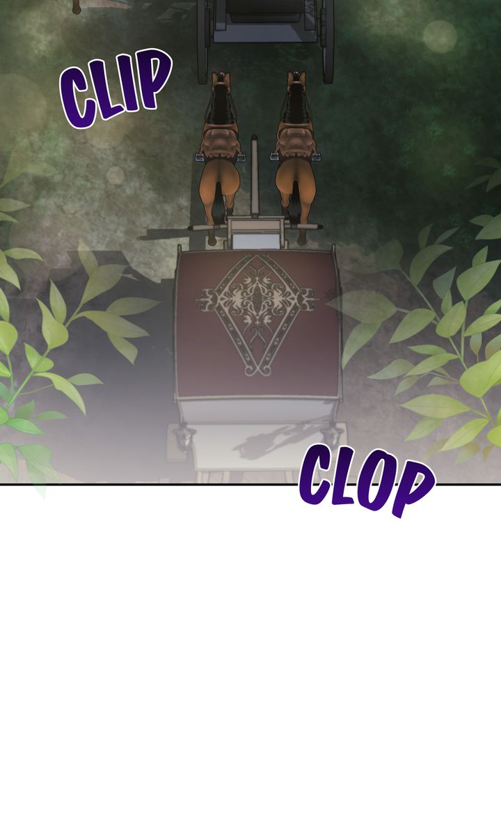 ch 81 33